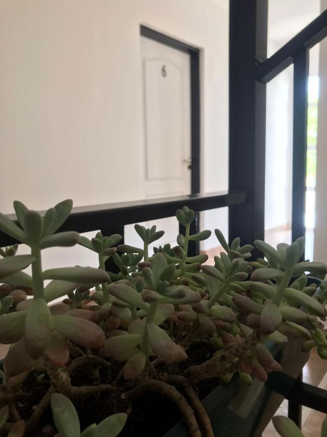 Guest House Сальта Екстер'єр фото