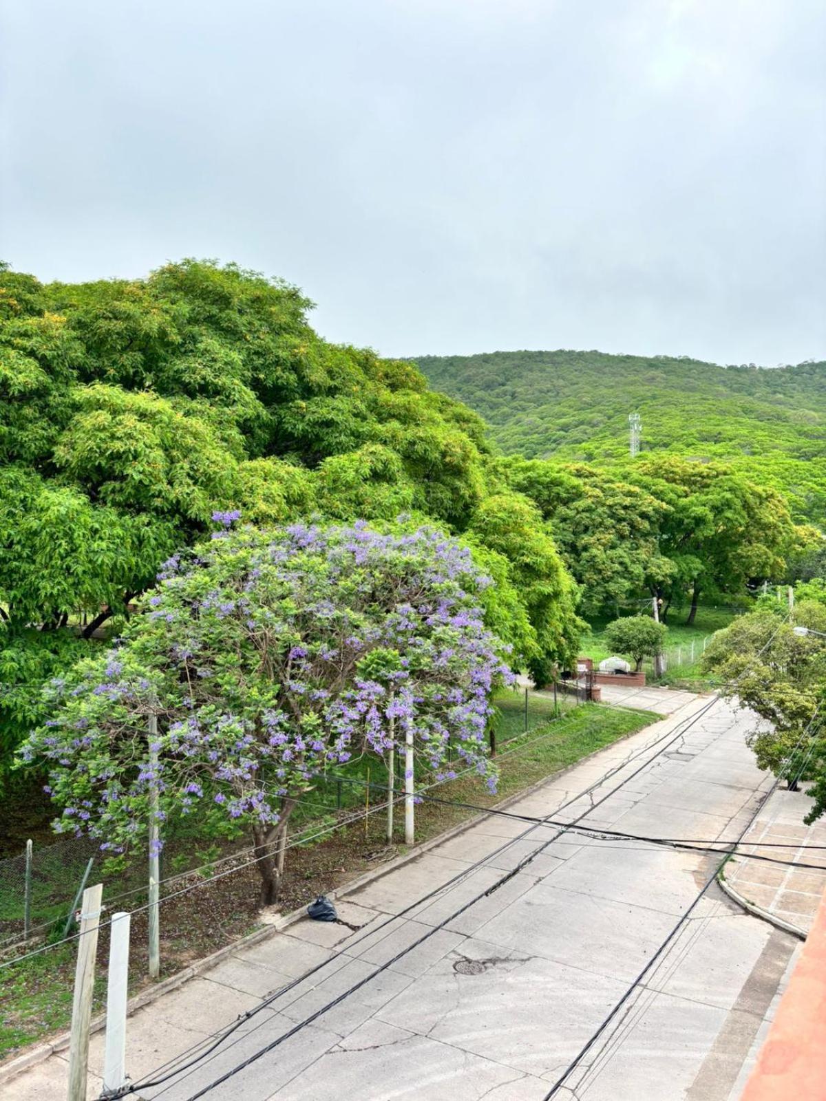Guest House Сальта Екстер'єр фото